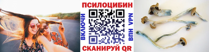 Купить где  Жуков  Галлюциногенные грибы прущие грибы 